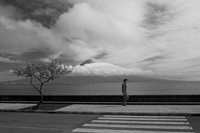 Movimento HarmÃ³nico :: Harmonic Movement