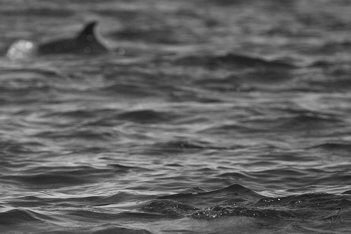 Incerteza :: Uncertanly