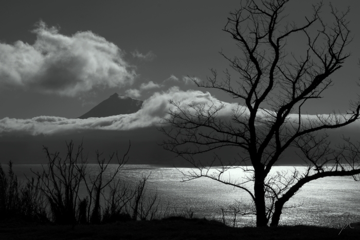 Doce Acordar :: Sweet Wake Up