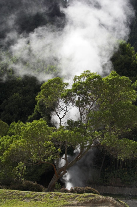Terra que fuma